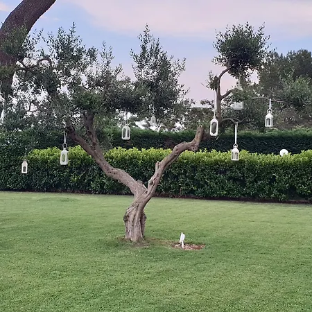 Villa Natia-2